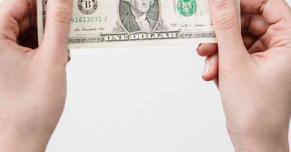 全自动智能宠物机器人 宠物机器人COZMO