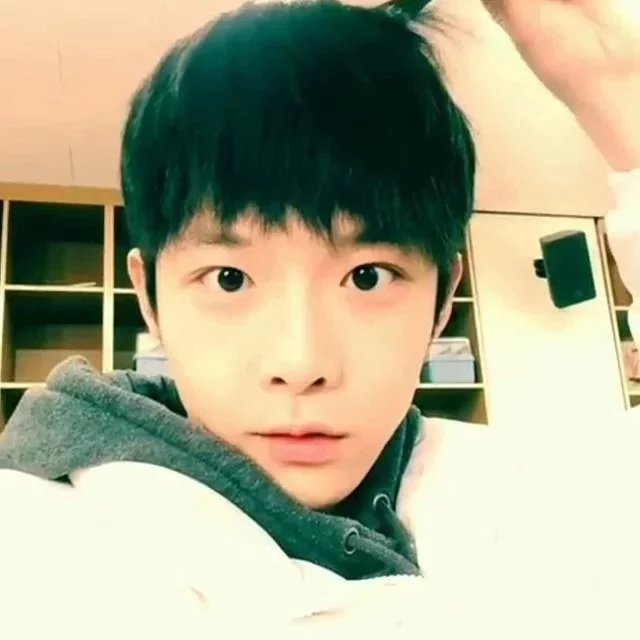 柴忠馨莉