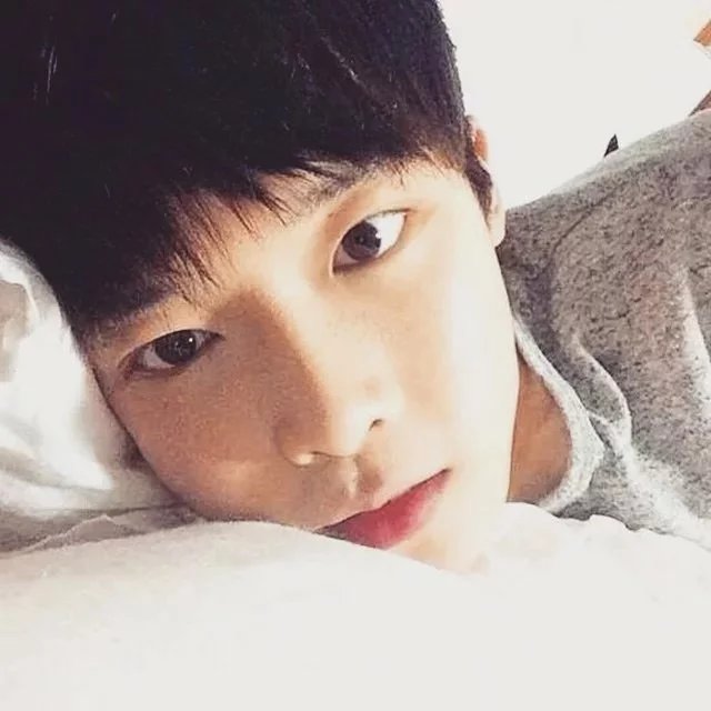 柯曼东美