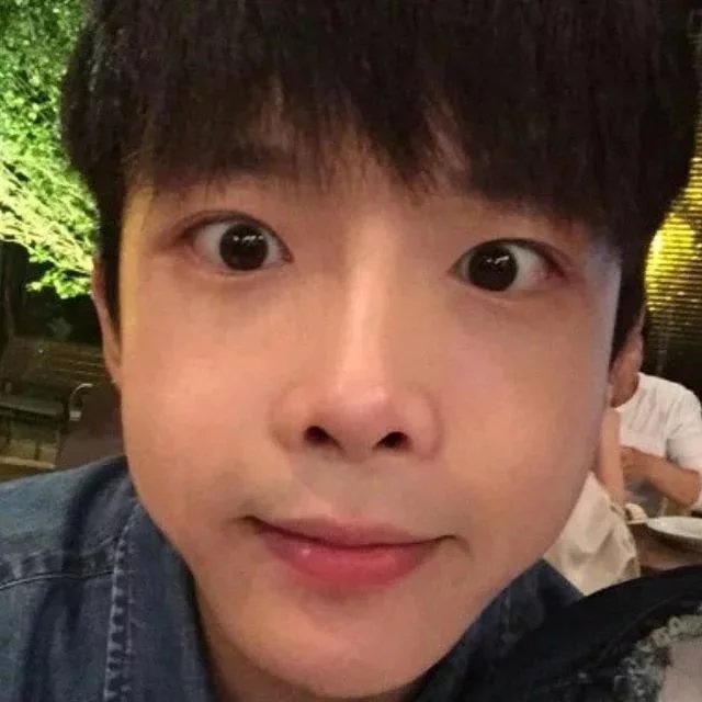柯月承宝