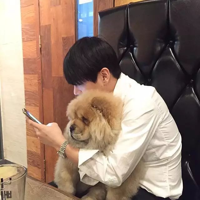 晏克柔琴
