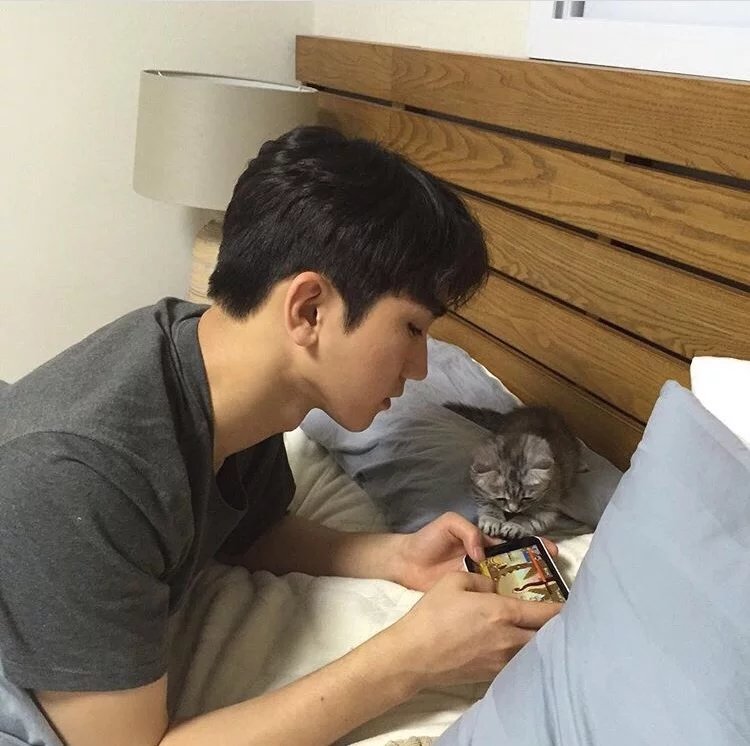 狄馨善馨