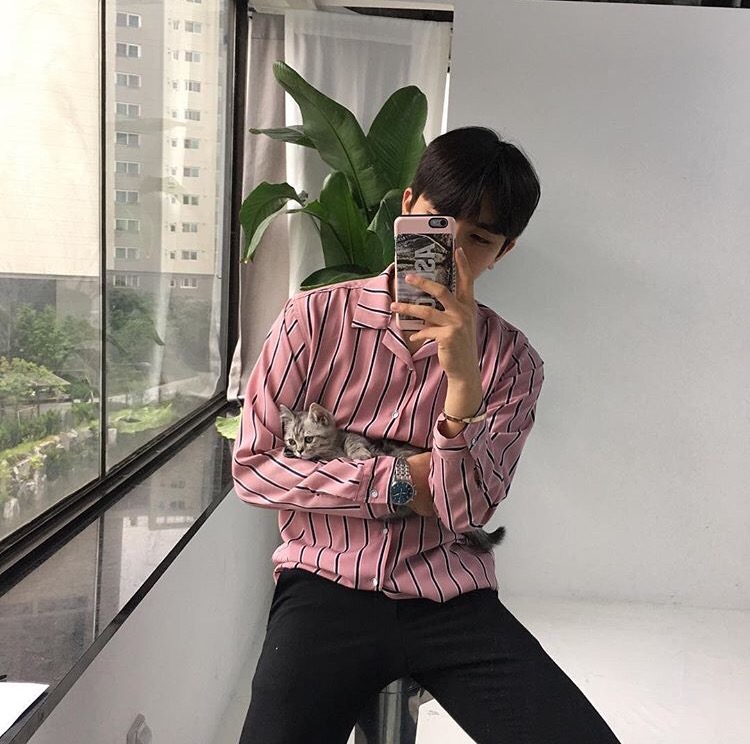 夏轮泽雅