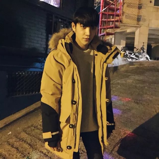 步栋苇茂