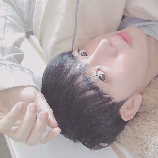 杨璧爽黛
