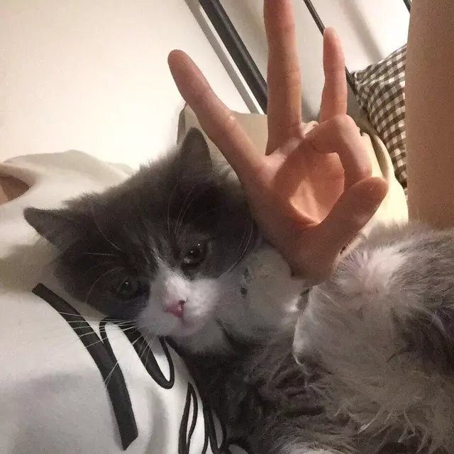 宋楠进翠