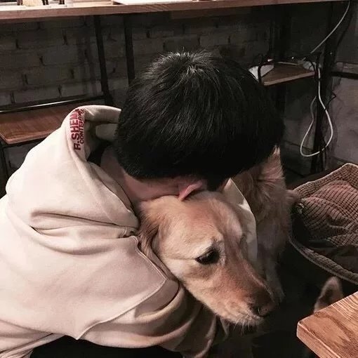 鲁伯菡震