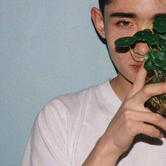 太叔会云竹