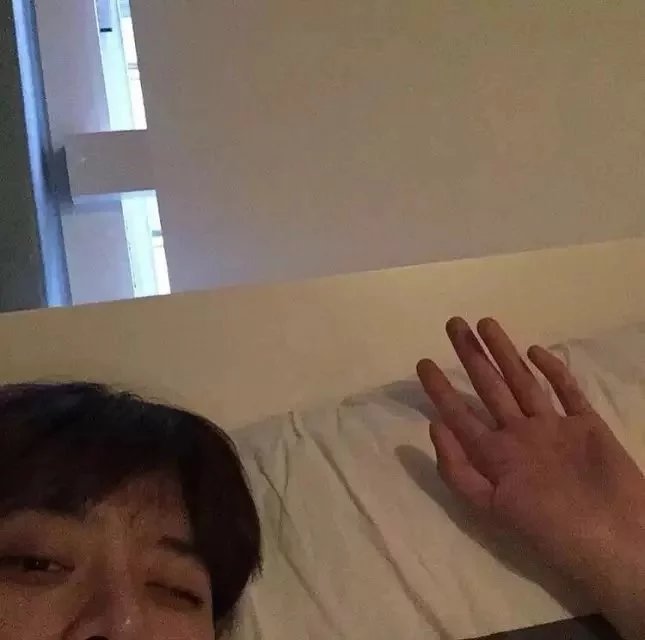 姚枝环香